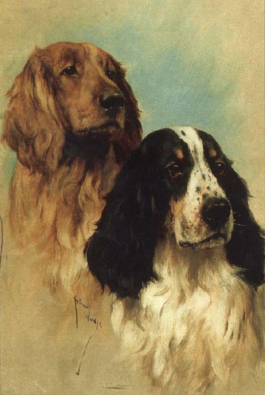 John emms English Springer Spaniels at Rest oil painting picture